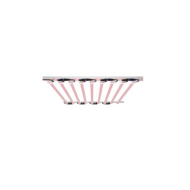 Prodotto da Tubo LED T8 G13 60 cm per la Coltivazione Batten Grow 10W