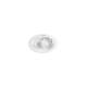 Product van Downlight PHILIPS Pomeron SceneSwitch Richtbaar LED 5W Zaag maat Ø 70 mm