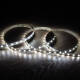 Product van LED Strip CCT 24V DC SMD2022 280 LED/m 5m IP20 1200 lm/m CRI90 Breedte 10mm om de 5 cm te knippen