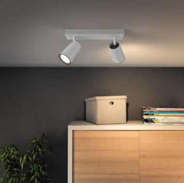 Prodotto da Lampada da Soffitto PHILIPS Paisley con due faretti 