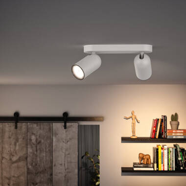 Product of PHILIPS Pongee Double Spot Ceiling Light