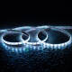 Product of 5m 24V DC 60LED/m IP65 RGB LED Strip 10mm Wide