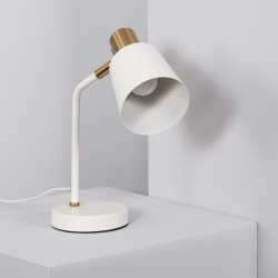 Tatlin Metal Flexo Desk Lamp