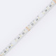 Product van LED strip RGBW  24V DC 60LED/m 5m IP65 Breedte 12mm in te korten om de 10cm