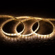 Product of 5m 24V DC 60 LEDs/m CCT Selectable LED Strip 10mm Wide cut at Every 5cm IP65 