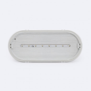 Product of Permanent/Non Permanent LED Emergency Recessed/Surface Light 120lm IP65 