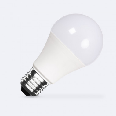 LED Lamp E27 10W 1000 lm A60 12/24V