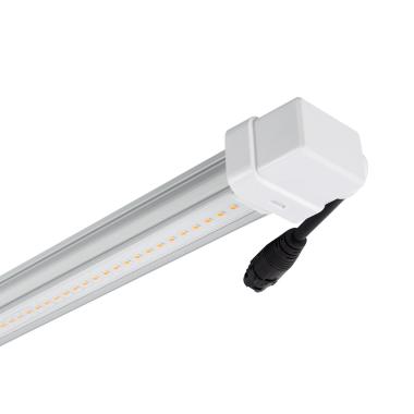 LED Buis T8 G13 60cm kweek Batten Grow 10W