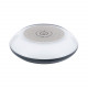 Baliza Bluetooth LED Solar con Pincho IP65