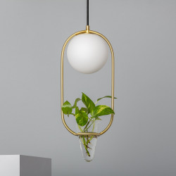 Kollektion Moonlighter