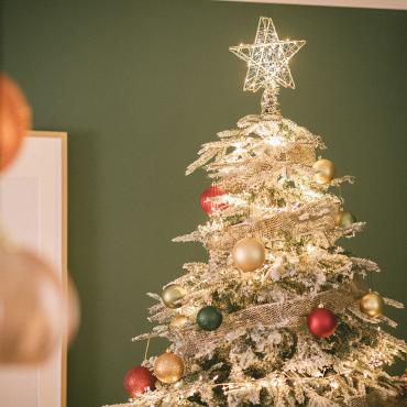 Photographie du produit Étoile LED Métal pour  Sapin de Noël à Piles Bellen