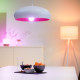 Bombilla LED Smart WiFi + Bluetooth E27 A60 RGBCCT Regulable WIZ 8W