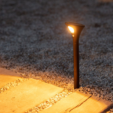 Pack 2 Outdoor LED 60cm Solar Spotlights with Spike with Motion Detector -