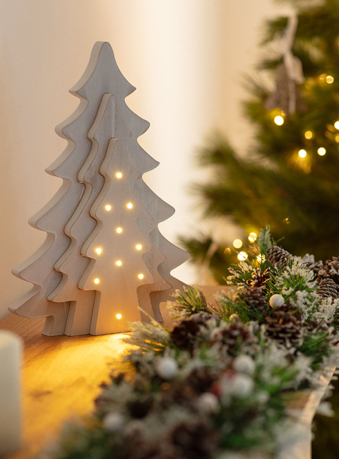 Christmas Trees with Lights
