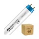 Tubo LED Philips T8 600mm Conexión un Lateral 8W