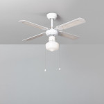 Ventilatori a Soffitto