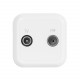 TV + Satellite Socket